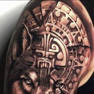 Meet your Posher, Homero